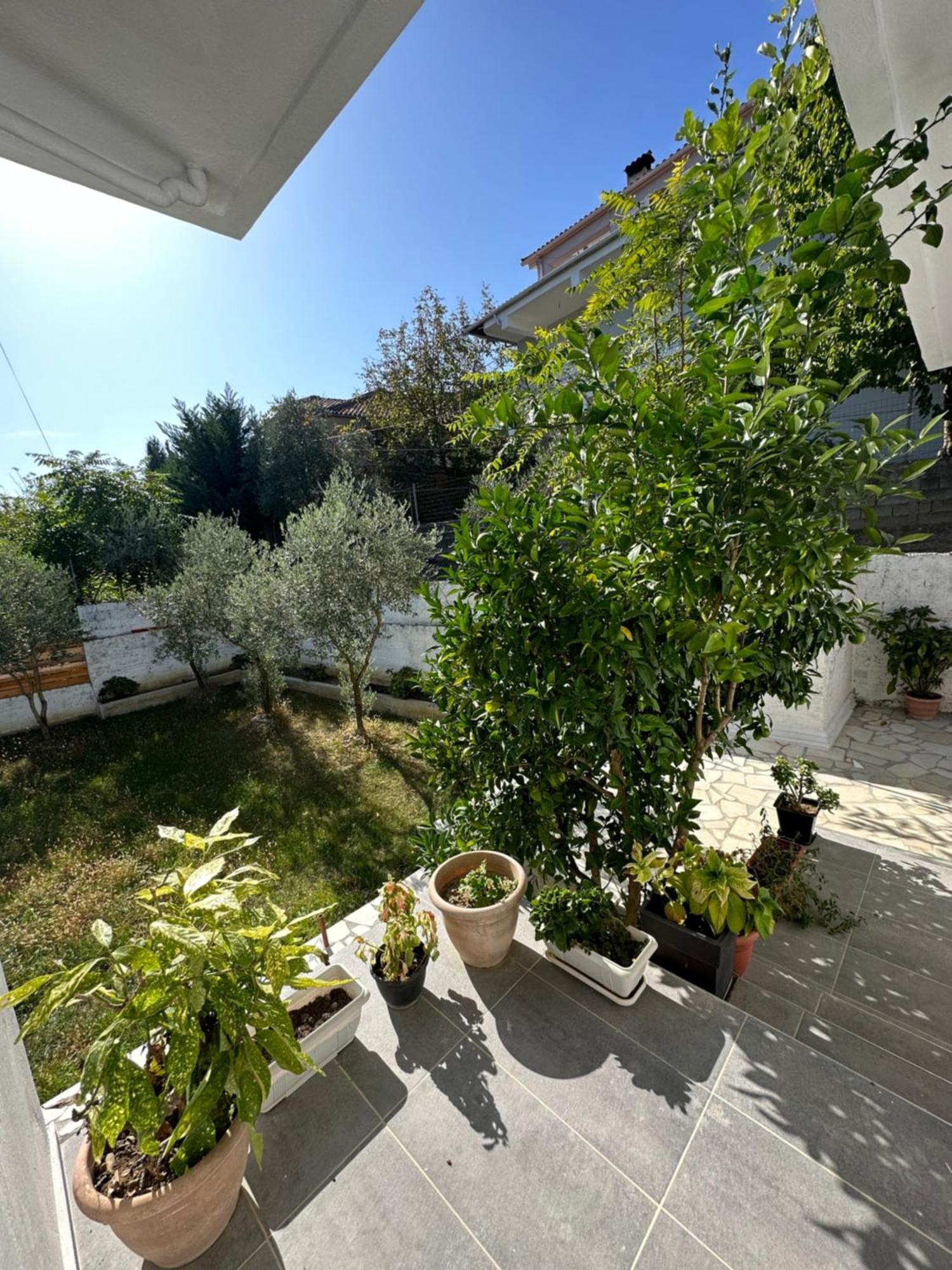 Villa Braho Gjirokaster Exterior photo