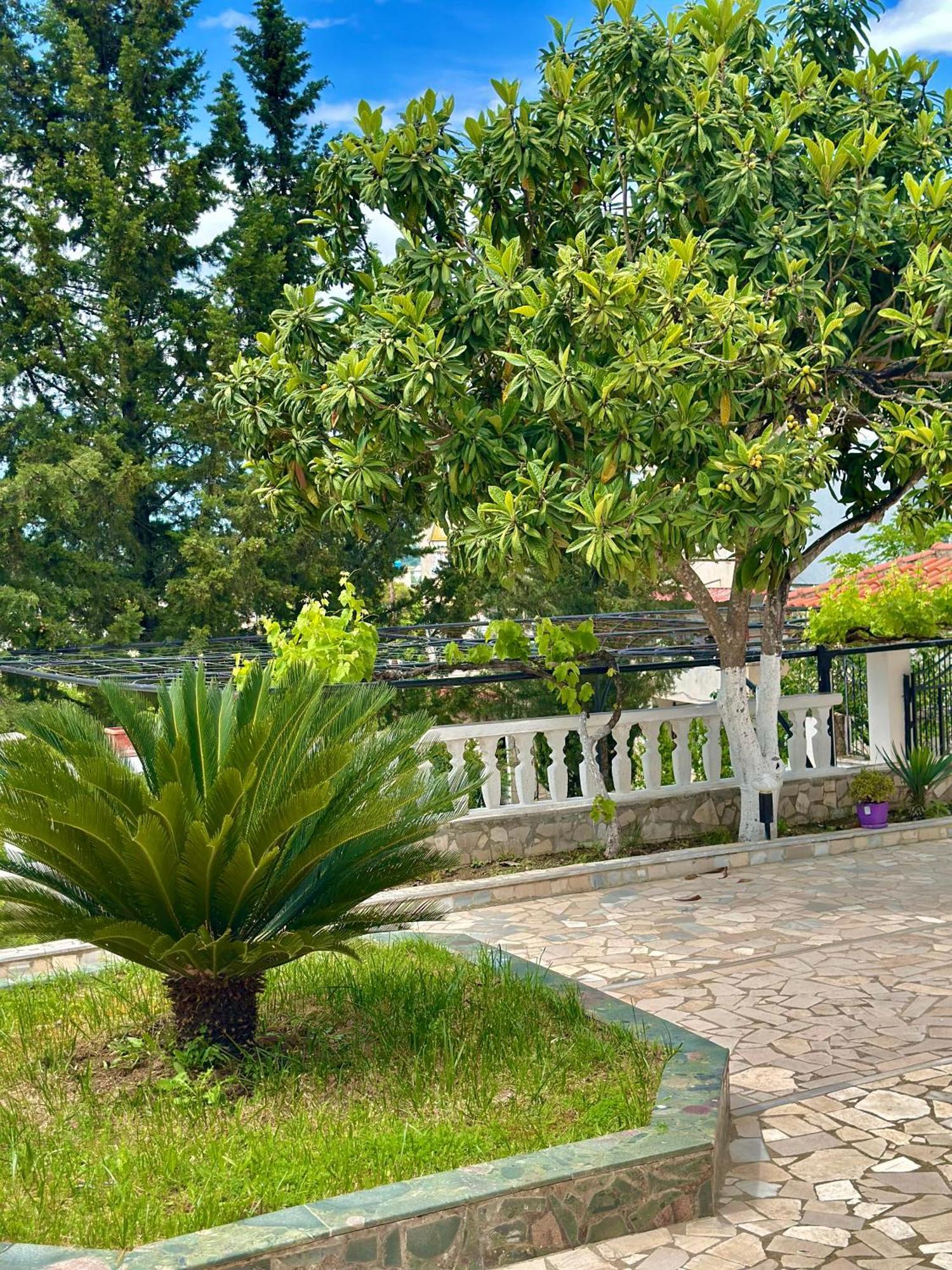 Villa Braho Gjirokaster Exterior photo